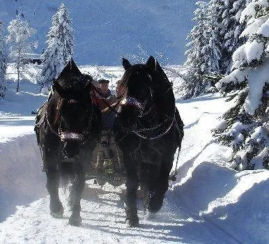 Ochsen 3*