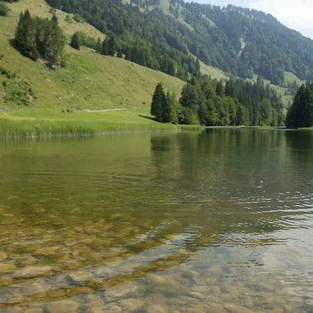 Gasthof Oxa - Easy Escape Hittisau