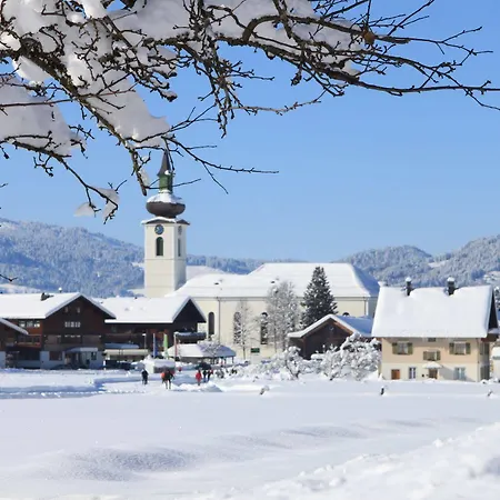Ochsen Hittisau