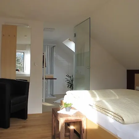 Ochsen Gasthof 3*