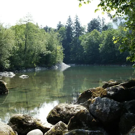 Ochsen Hittisau