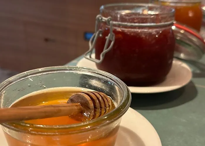 Gasthof Oxa - Easy Escape - Hittisau