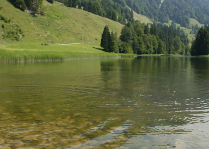 Gasthof Oxa - Easy Escape - Hittisau